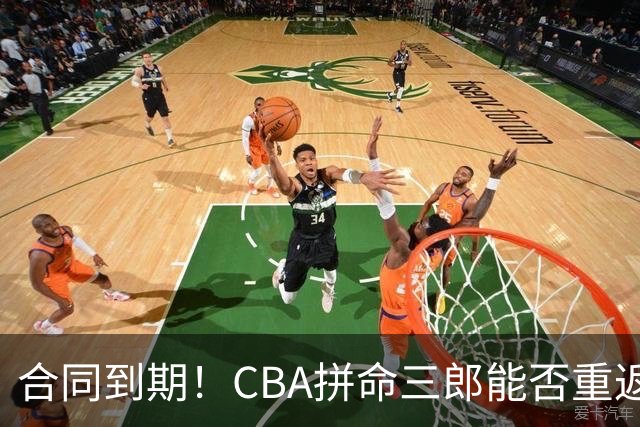 合同到期！CBA拼命三郎能否重返广东？期待辅佐徐杰、胡明轩